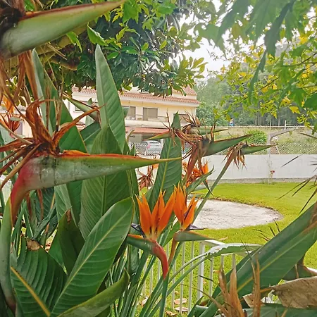 Casa A Chadiza *